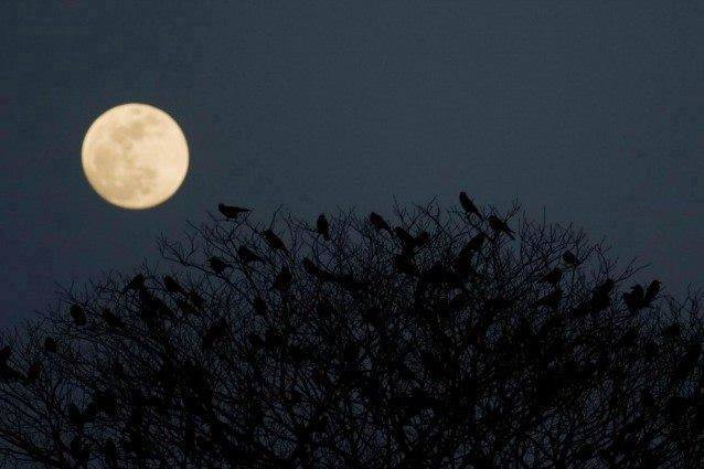 QUANDO IN CIELO SPLENDE LA LUNA PIENA SI DORME MALE, NON E' UNA LEGGENDA, MA LA VERITA' - ECCO PERCHE' - 10/11/2015