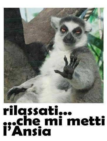 STATTE CALMO !! - 04/11/2012