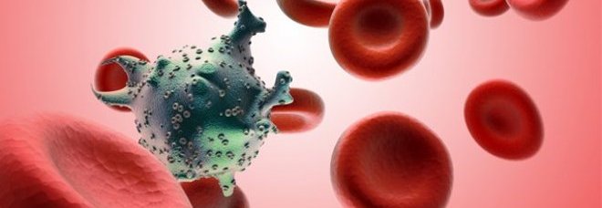 ECCO COME L'AIDS ATTACCA LE CELLULE UMANE - 24/11/2014