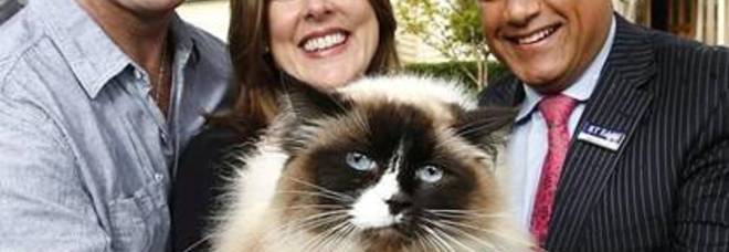 VILLA IN VENDITA CON SORPRESA: COMPRESO NEL PREZZO ANCHE IL GATTO DI FAMIGLIA - 07/12/2014