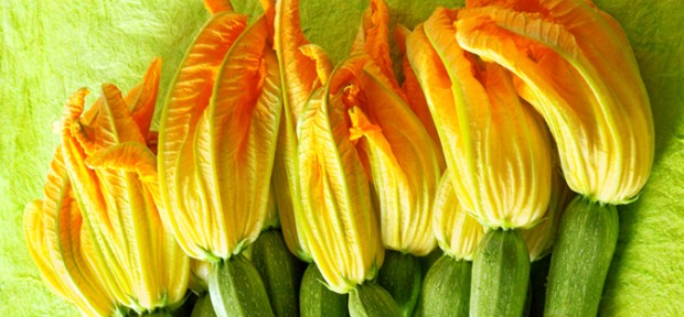 ECCO COME COMBATTERE L'ETA' CON I FIORI DI ZUCCA - 19/12/2014