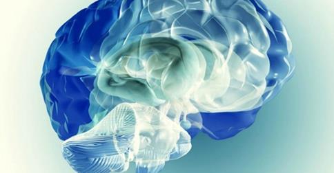 GLI SCIENZIATI HANNO SCOPERTO IL ''VIRUS DELLA STUPIDITA''': ECCO QUALI SONO GLI EFFETTI - 13/11/2014