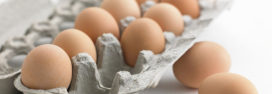 COMPRA UNA CONFEZIONE DI UOVA AL SUPERMERCATO: ECCO COSA SCOPRE QUANDO ARRIVA A CASA - 24/11/2014