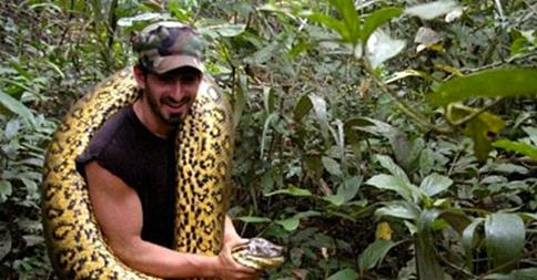 PARLA PAUL ROSOLIE, L'UOMO MANGIATO VIVO DA UN ANACONDA: ''RESTERETE SCIOCCATI'' - 01/02/2015