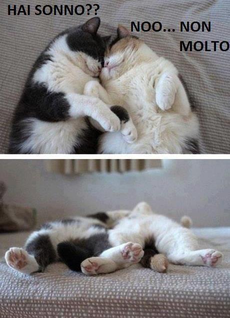 NUN HO SONNO !! - 07/11/2012