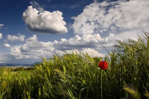 PRIMAVERA IN CRISI: PIOGGIA NEL WEEK END E ANCHE LA PROSSIMA SETTIMANA - PREVISIONI - 20/03/2015