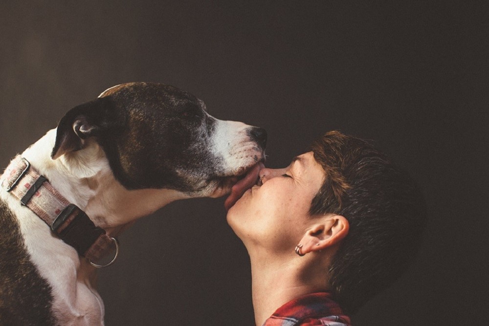 FARSI DARE UN BACIO DAL PROPRIO CANE? ECCO IL PARERE DEGLI ESPERTI - 23/03/2015
