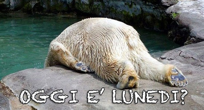 SEI MOTIVI PER CUI IL LUNEDI' E' IL GIORNO PEGGIORE DELLA SETTIMANA - 23/03/2015
