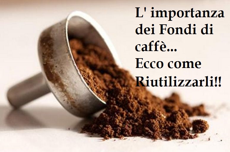 L'IMPORTANZA DEI FONDI DEL CAFFE': ECCO COME POTERLI RIUTILIZZARE - 22/04/2015