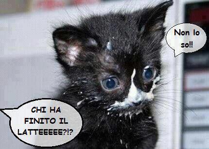 NUN SO' STATO IO !! - 11/11/2012