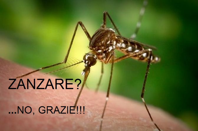 ADDIO ZANZARA TIGRE: ECCO COME TENERLE LONTANO IN MODO SEMPLICISSIMO - VIDEO - 06/05/2015