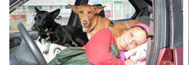DISOCCUPATA E SENZA CASA, VIVE IN AUTO COI SUOI CANI PER NON ABBANDONARLI - 24/05/2015