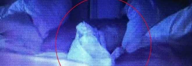 I GENITORI CONTROLLANO LA BIMBA DAL MONITOR: CIO' CHE VEDONO LI LASCIA SENZA PAROLE - GUARDA - 31/10/2015
