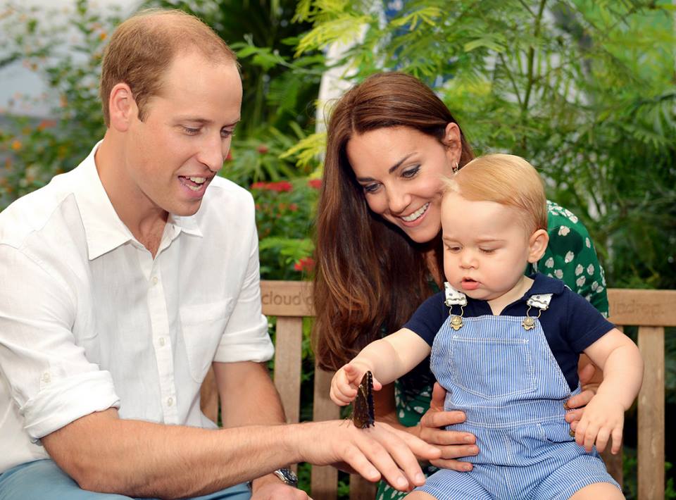 ANCORA UN RECORD PER IL PRINCIPE GEORGE: IN GRAN BRETAGNA E' LA PRIMA VOLTA CHE ACCADE QUALCOSA DI SIMILE - 08/11/2015