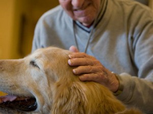 SENZA CASA A 80 ANNI, VIVE IN AUTO PER NON ABBANDONARE IL CANE. LA STORIA COMMUOVE IL WEB - 14/12/2015