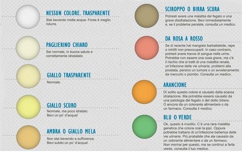 DAL COLORE DELLE NOSTRE URINE SI POSSONO CAPIRE MOLTE COSE SULLA NOSTRA SALUTE - MAPPE E PATOLOGIE - 20/12/2015