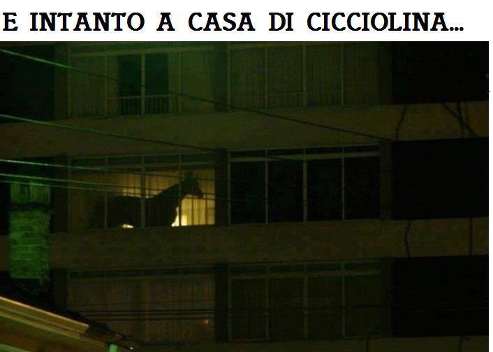 Immagine Divertente - 29/06/2012