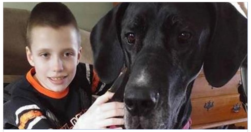 IL BAMBINO CON PARALISI CEREBRALE CHE TORNA A CAMMINARE GRAZIE AL SUO CANE - 25/04/2016