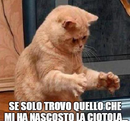 TU VEDI CHE TE COMBINO !! - 14/11/2012