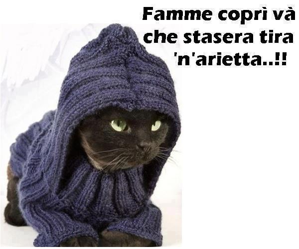 FAMME COPRI' !! - 14/11/2012