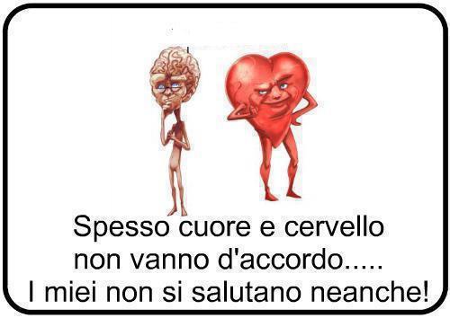 I MIEI NUN SE SALUTANO !! - 14/11/2012