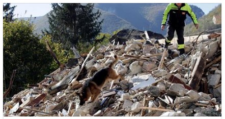 TERREMOTO PREVISTO GIA' IL 28 OTTOBRE, ESPERTO AVEVA ANNUNCIATO IL SISMA DI IERI: ECCO COSA DICE - 30/10/2016