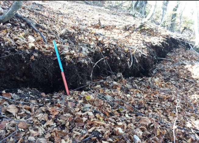 TERREMOTO, SUOLO ABBASSATO DI 70 CM: ''FAGLIAZIONE SI ESTENDE PER CHILOMETRI, MAI VISTA UNA COSA DEL GENERE'' - 01/11/2016
