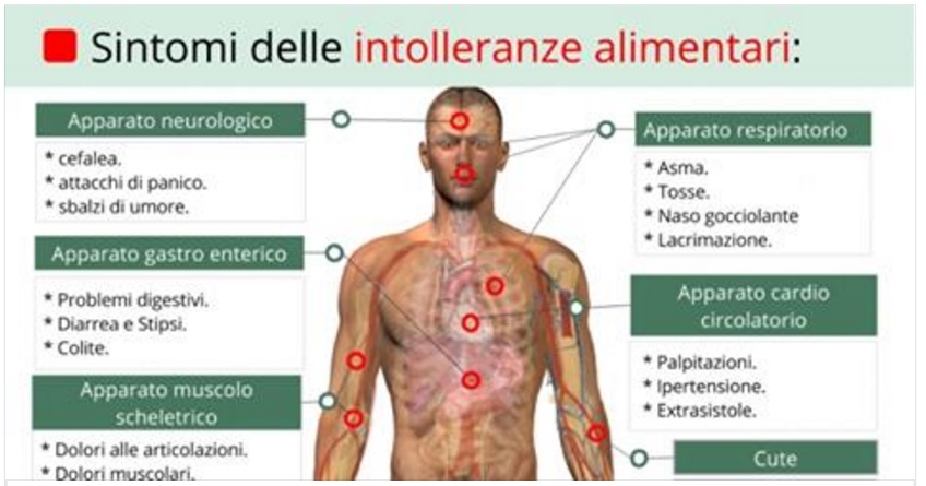 CON QUESTO METODO PUOI SCOPRIRE A QUALI CIBI SEI INTOLLERANTE - 06/11/2016