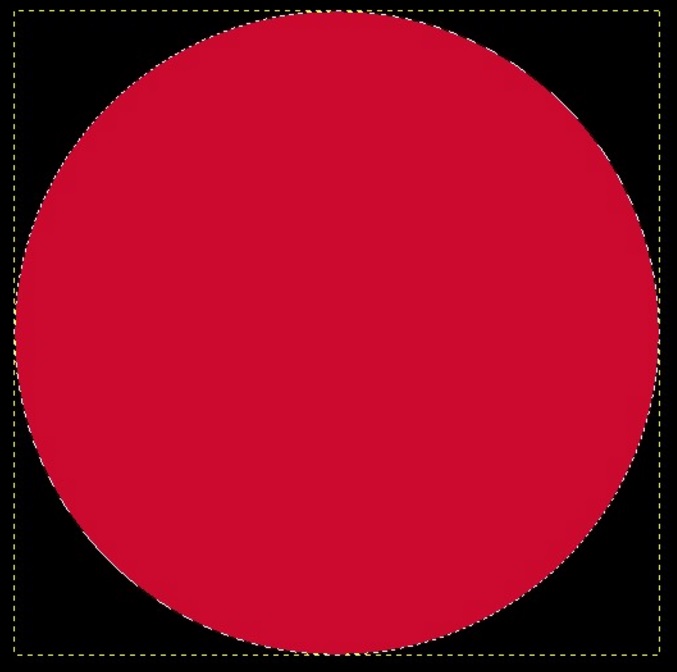 RIUSCITE A VEDERE NELL'IMMAGINE NEL CERCHIO ROSSO? SOLO IN POCHI CI RIESCONO - 07/11/2016