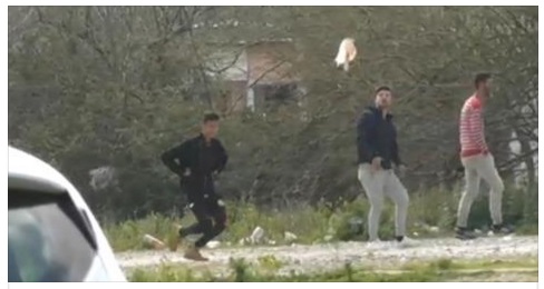 COSI' I ROM DERIDONO LE FORZE DELL'ORDINE CON UNA CANZONE DI BELLO FIGO: POI ARRIVA LA VENDETTA DEGLI AGENTI - 19/02/2017