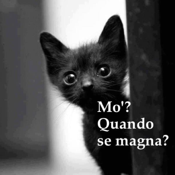 ANCORA GNENTE ?! - 16/11/2012