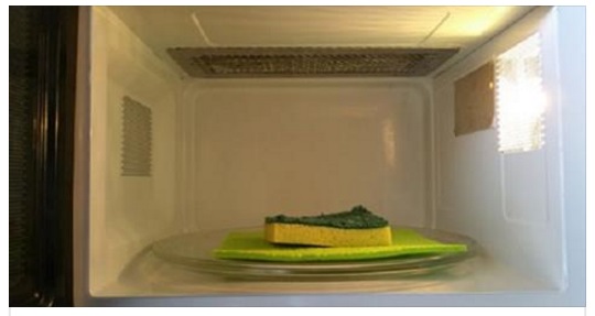 MICROONDE, NON SERVE SOLO PER CUOCERE: 12 USI CHE SEMPLIFICANO LA VITA - 22/12/2016