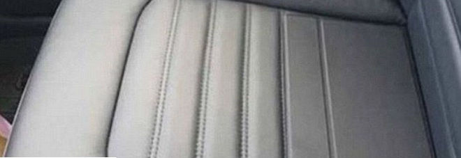 RIESCI A VEDERE COSA SI TROVA SUL SEDILE? L'INDOVINELLO FA IMPAZZIRE IL WEB - 19/06/2016