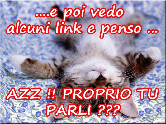 Immagine Divertente - 06/01/2013