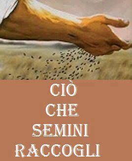 Immagine Divertente - 29/12/2012