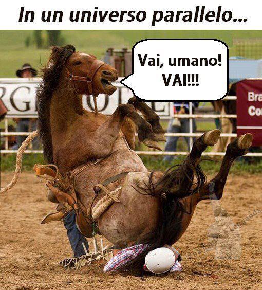 Immagine Divertente - 06/01/2013