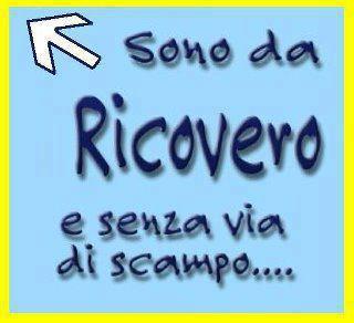 Immagine Divertente - 31/05/2012