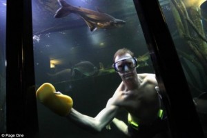 Sostituisce la tv con un enorme acquario dentro casa. - 01/03/2012
