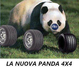'A NUOVA PANDA !! - 30/05/2012