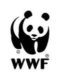 NOTIZIE DAL WWF: E' SCAPPATO L'ULTIMO ESEMPLARE DE BABBUINO IN VIA D'ESTINZIONE !! - 21/03/2012