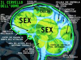 ER CERVELLO MASCHILE !! - 05/03/2012