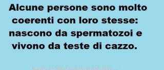 Immagine Divertente - 17/05/2012