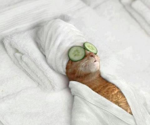 NUN ME DISTURBATE... ME STO A RILASSA' !! - 20/06/2012
