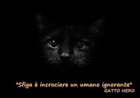 'NA SACROSANTA VERITA' !! - 20/06/2012