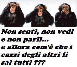 Immagine Divertente - 15/04/2012