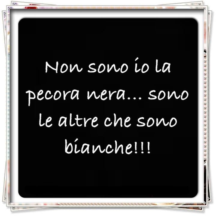 Immagine Divertente - 25/07/2013