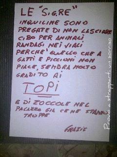 NOI DE ROMA - 02/03/2012
