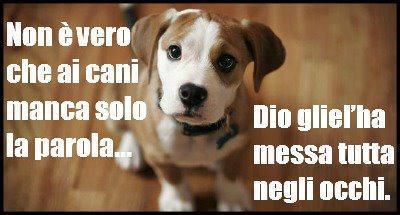 'NA GRANDE VERITA' !! - 03/07/2012