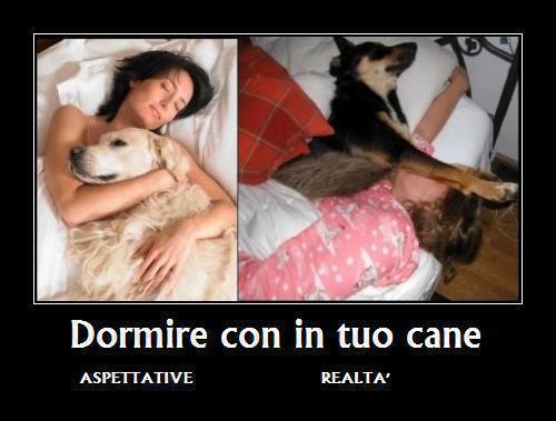 LE ASPETTATIVE SO' DIVERSE DALLA REALTA' !! - 16/04/2012