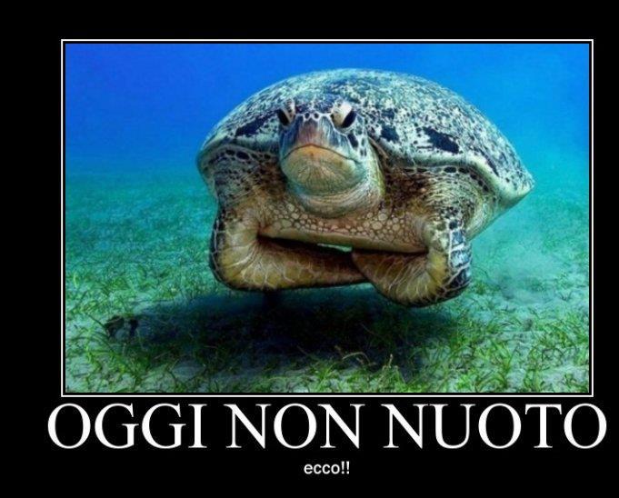 NUN ME VA !! - 09/05/2012